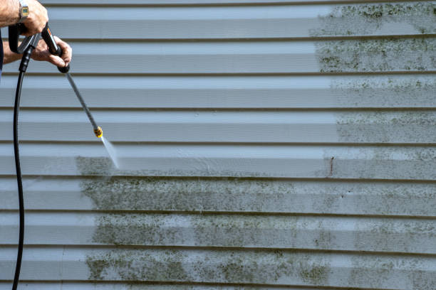 Best Demolition Debris Removal  in White Hall, WV